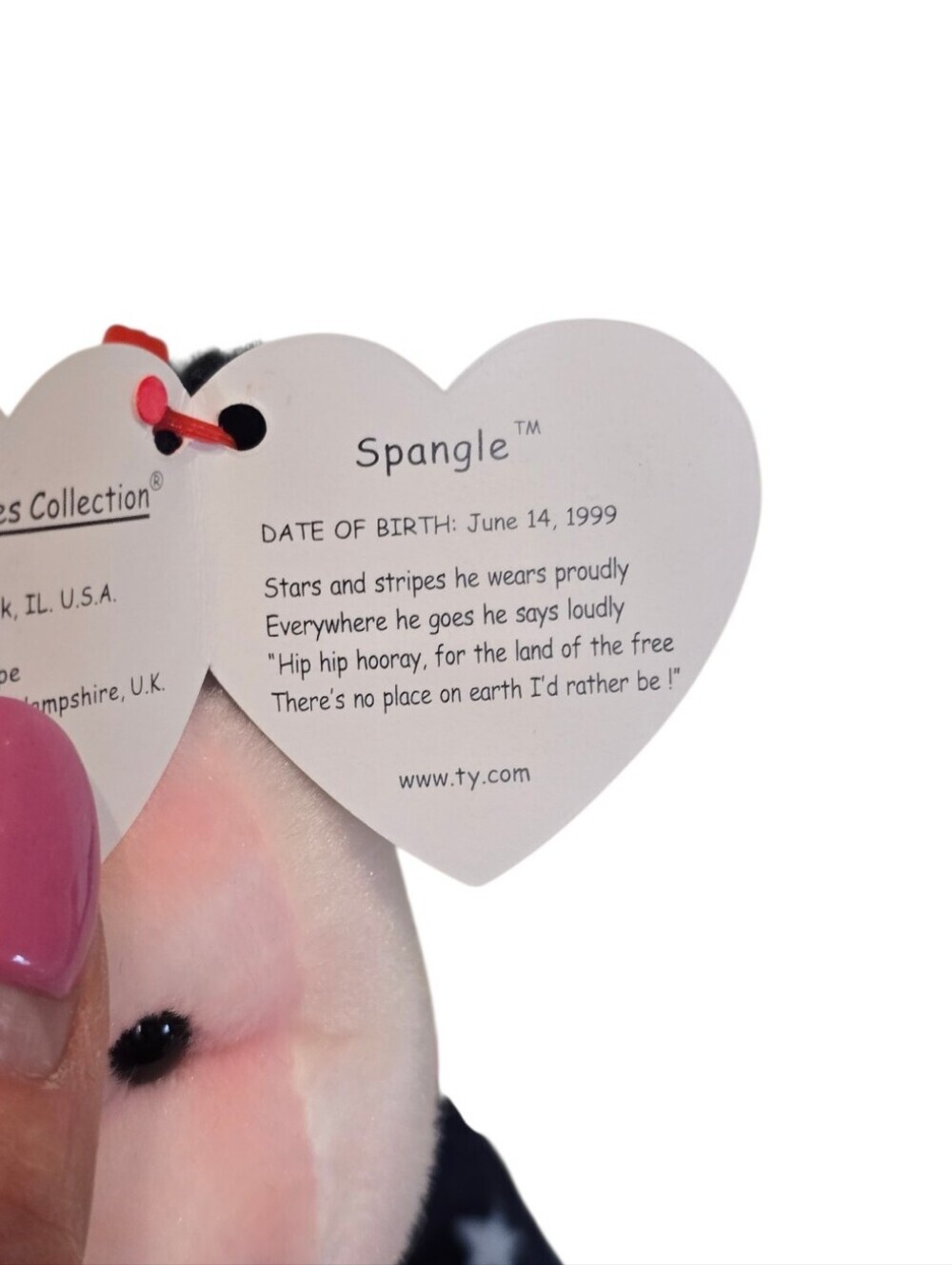 TY Spangle Bear Stars & Stripes Patriotic Beanie Baby - Picture 5 of 7